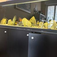 Acquario artigianale