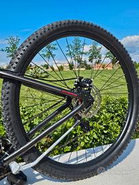 bici bottecchia  29 ancora in garanzia 