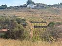 terreno-agricolo-messina-cod-rif-3325955vcg-no