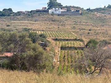 Terreno Agricolo Messina [Cod. rif 3325955VCG] (No
