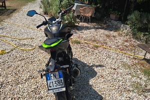 Qj motor srk125s