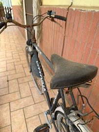 Shimano Vittoria