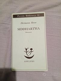 libro di italiano siddharta romanzo