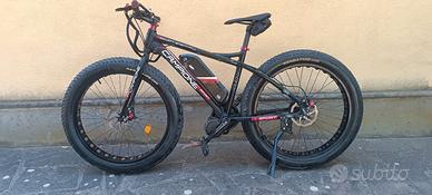 Bici elettrica Fat Bike Campione 