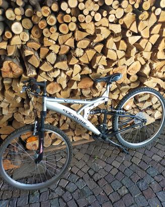 Mountain bike