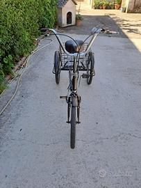 bicicletta triciclo da adulto con cestino.