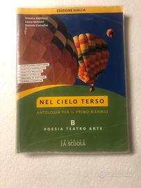 Libro scolastico