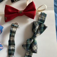 Cravattini a farfalla