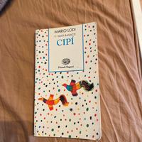 Libro Cipí