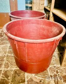 Mastelloni vino 500L