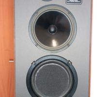 Coppia casse  passive  McIntosh XE7-1   Watt 100x2