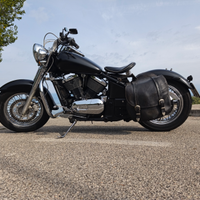 Kawasaki vn 800 classic