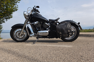 Kawasaki vn 800 classic