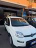 fiat-panda-1-0-firefly-s-s-hybrid-anno-2021