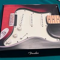 Battipenna Fender completo di Pickup SSS