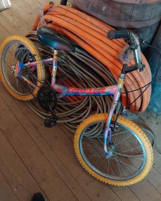 bici funzionante 