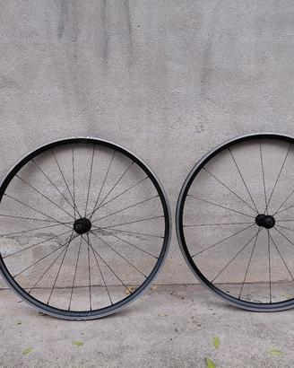 Cerchi Giant