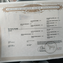 Quarter americano linea cutting