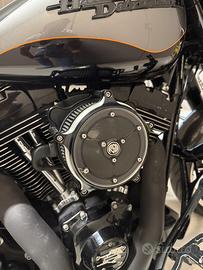 Filtro Harley Davidson Touring 103 Twin Cam RSD