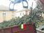 Immagine 5