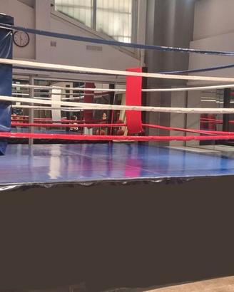 ring per boxe e arti marziali