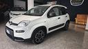 fiat-panda-1-0-firefly-s-s-hybrid-city-cross-2021