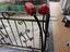 Immagine 1
