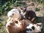 Immagine 2