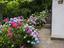 Immagine 28