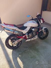 Honda hornet