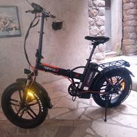 Bici elettrica 250