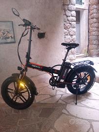 Bici elettrica 250