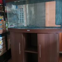 Acquario Jewel da 180 litri