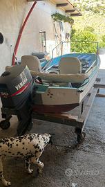 Boston Whaler 4 mt Yamaha 30hp