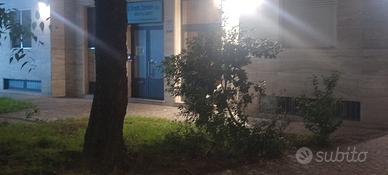 Bilocale euro 1300+euro 200 spese condominiali