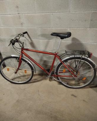 bici scott 