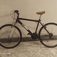 Biciclette uomo 