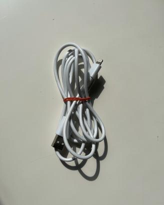 Cavo USB- Lightning