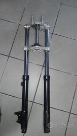 DT 50 X motard 07-11 : centralina statore volano