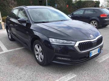 Skoda Octavia 2.0 TDI EVO SCR 150 CV DSG Wagon Exe