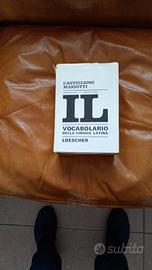 Dizionario latino