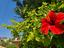 Immagine 27