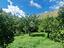 Immagine 9