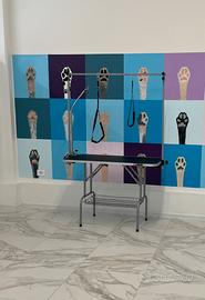 Tavolo toelettatura professionale