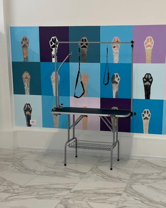 Tavolo toelettatura professionale