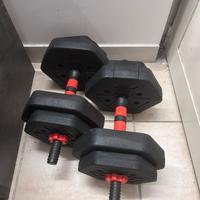 Manubri palestra 20 kg