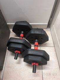 Manubri palestra 20 kg