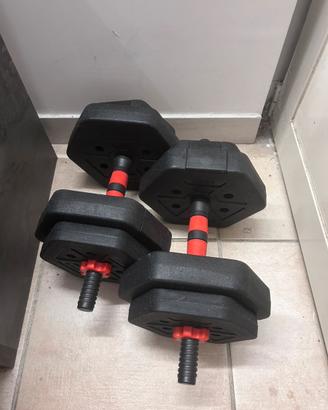 Manubri palestra 20 kg