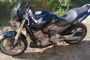 hornet 600 
