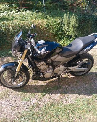 hornet 600 